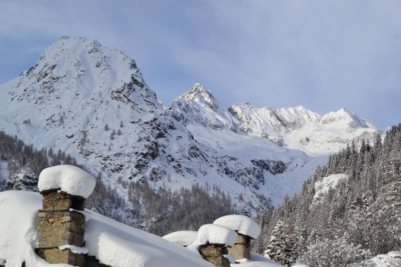 La Mura' - Il Vostro Posto Nel Gran Paradiso Ronco Canavese Eksteriør billede