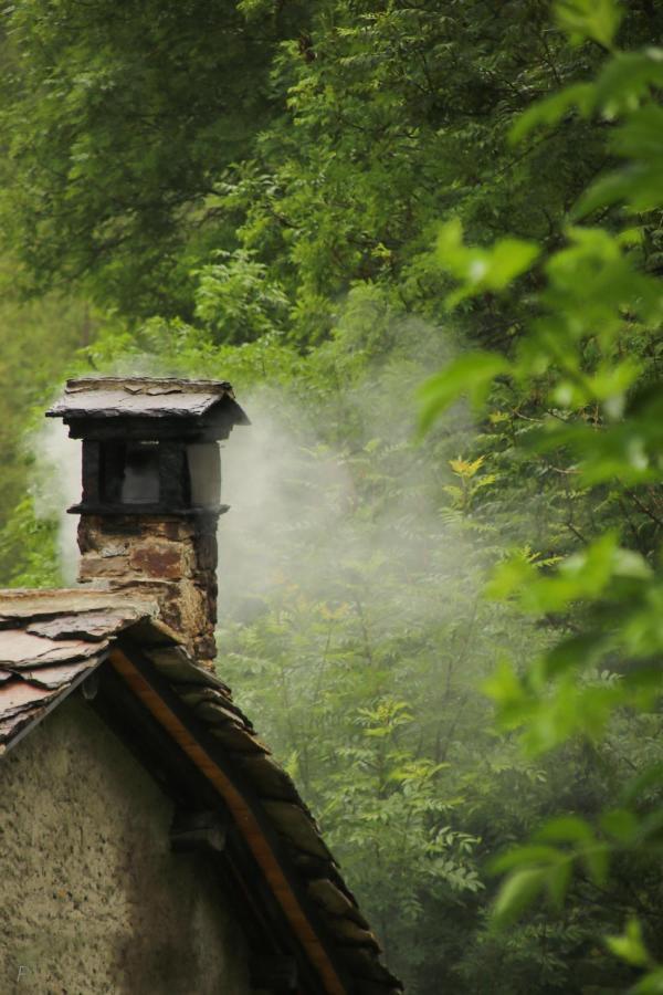 La Mura' - Il Vostro Posto Nel Gran Paradiso Ronco Canavese Eksteriør billede