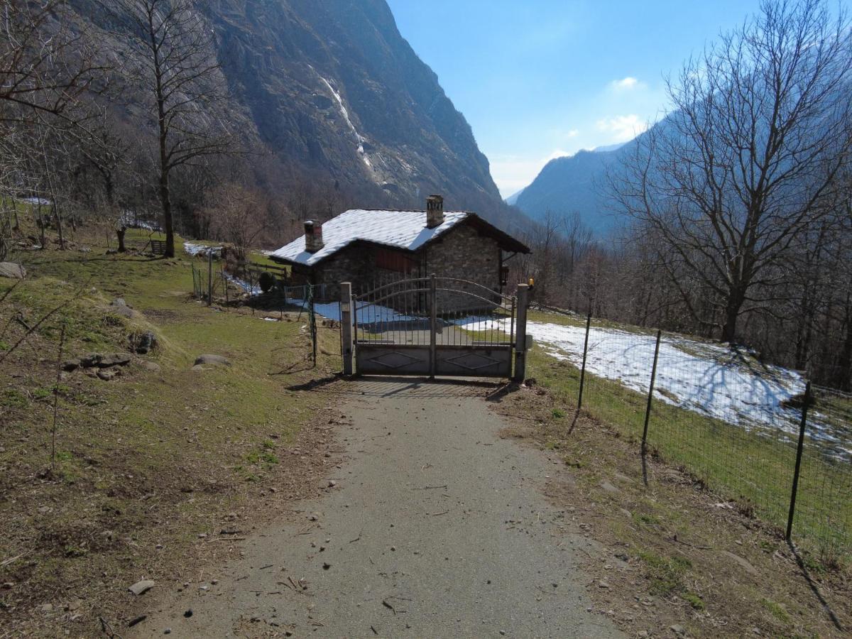 La Mura' - Il Vostro Posto Nel Gran Paradiso Ronco Canavese Eksteriør billede