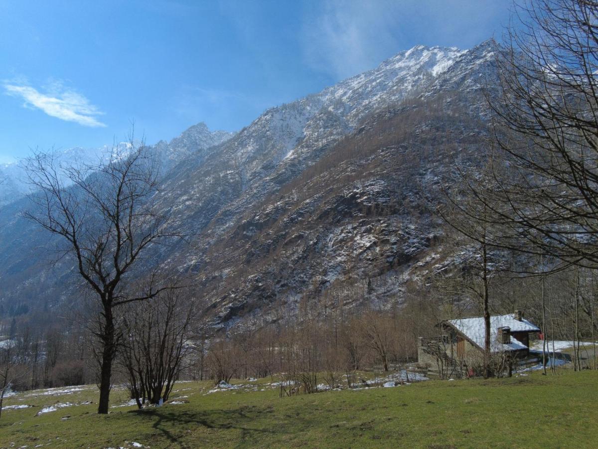 La Mura' - Il Vostro Posto Nel Gran Paradiso Ronco Canavese Eksteriør billede