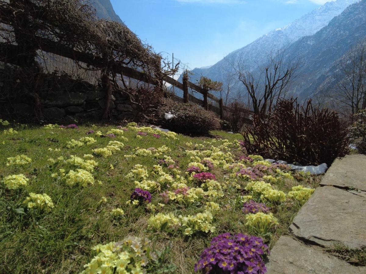 La Mura' - Il Vostro Posto Nel Gran Paradiso Ronco Canavese Eksteriør billede