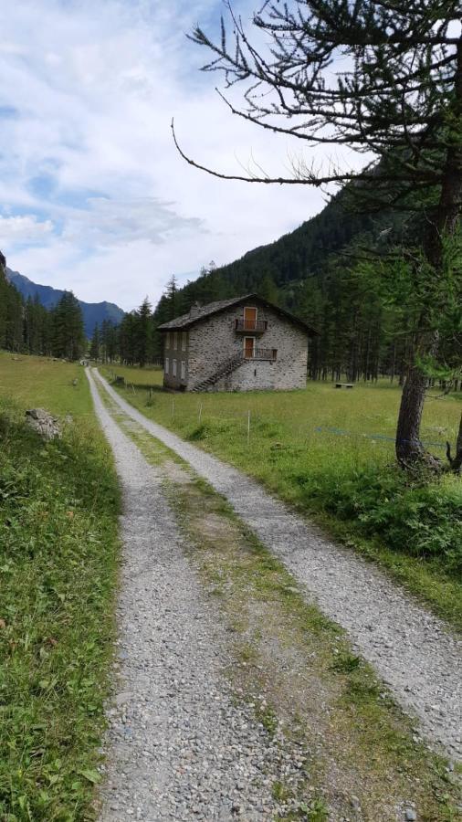 La Mura' - Il Vostro Posto Nel Gran Paradiso Ronco Canavese Eksteriør billede