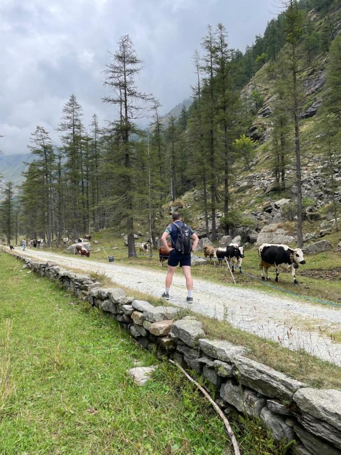 La Mura' - Il Vostro Posto Nel Gran Paradiso Ronco Canavese Eksteriør billede