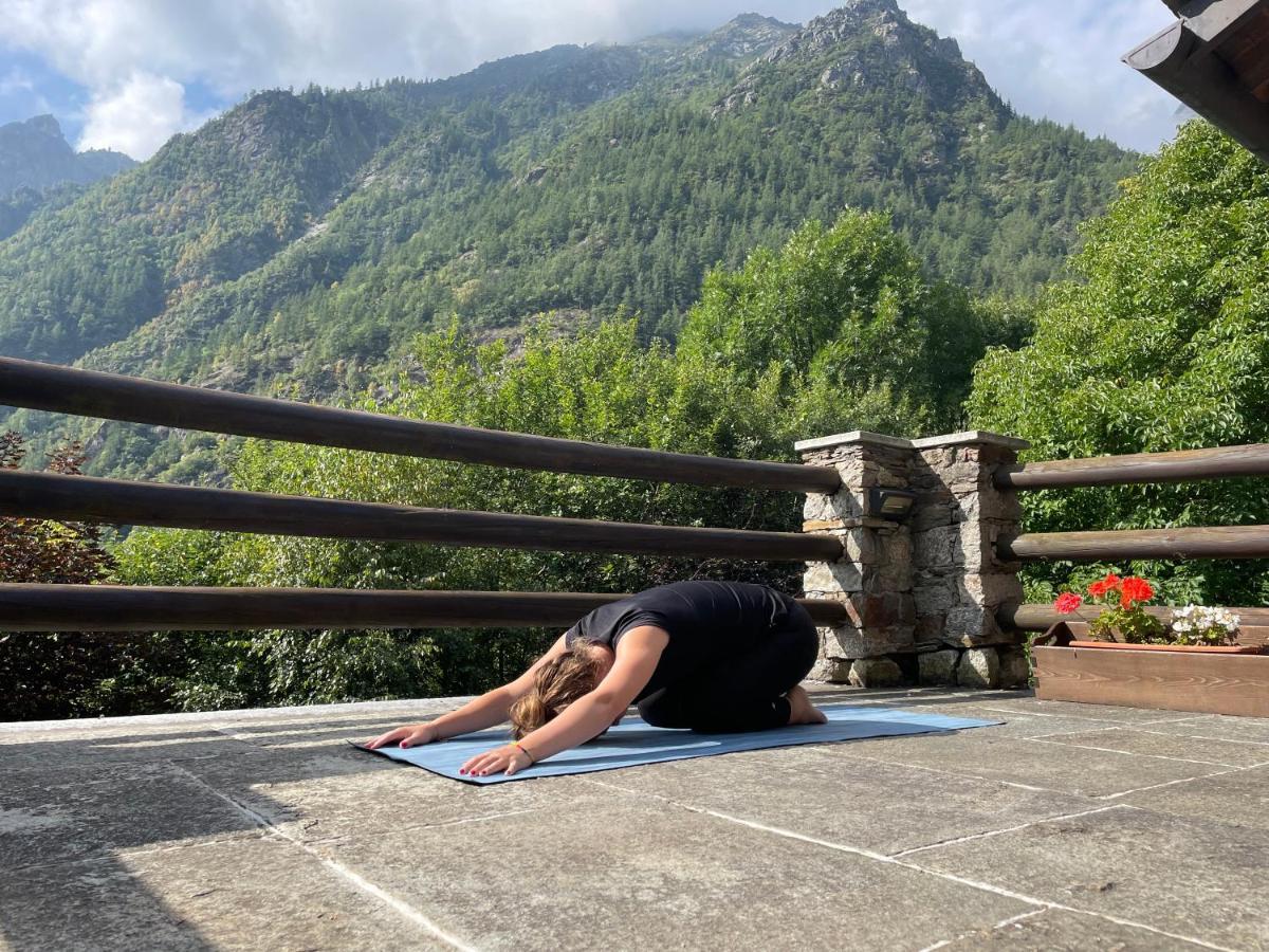 La Mura' - Il Vostro Posto Nel Gran Paradiso Ronco Canavese Eksteriør billede